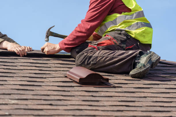 Best Roof Gutter Cleaning  in Fort Loramie, OH