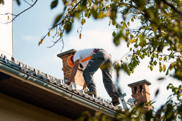 Best Flat Roof Repair Services  in Fort Loramie, OH
